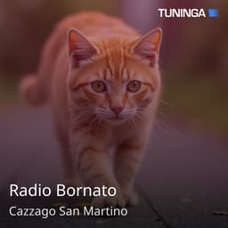 Radio Bornato