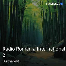 Radio România Internațional 2