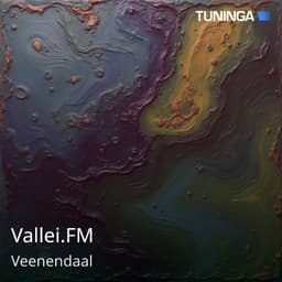 Vallei.FM