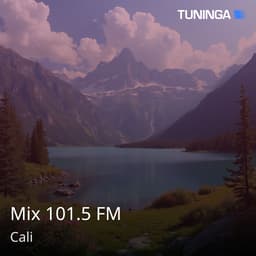 Mix 101.5 FM