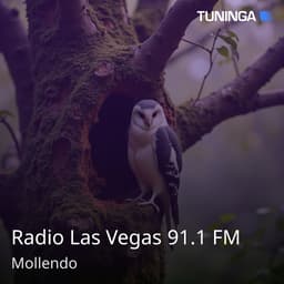 Radio Las Vegas 91.1 FM