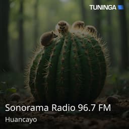 Sonorama Radio 96.7 FM