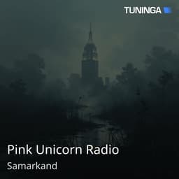 Pink Unicorn Radio