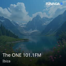 The ONE 101.1FM