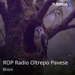 ROP Radio Oltrepo Pavese