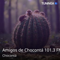 Amigos de Chocontá 101.3 FM