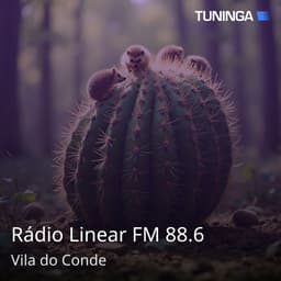 Rádio Linear FM 88.6