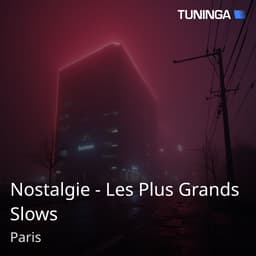 Nostalgie - Les Plus Grands Slows