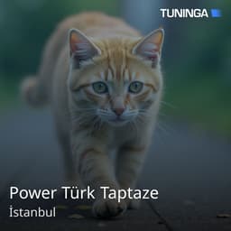 Power Türk Taptaze