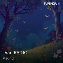 i Van RADIO