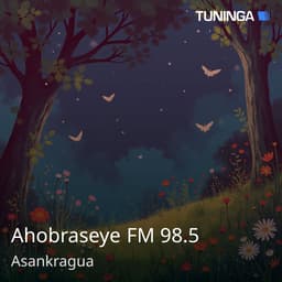 Ahobraseye FM 98.5