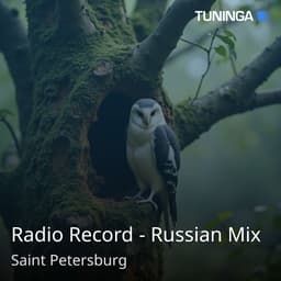 Radio Record - Russian Mix