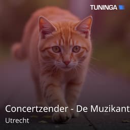 Concertzender - De Muzikant