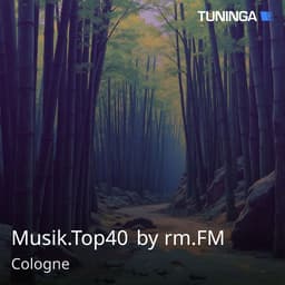 Musik.Top40 by rm.FM