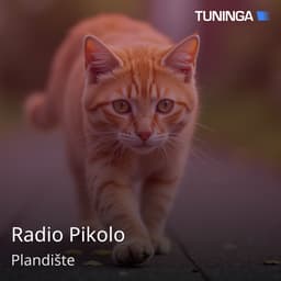 Radio Pikolo