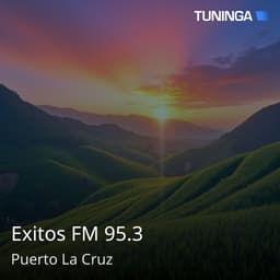 Exitos FM 95.3