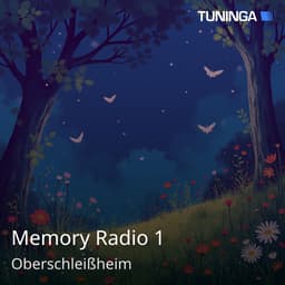 Memory Radio 1