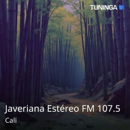 Javeriana Estéreo FM 107.5