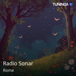 Radio Sonar
