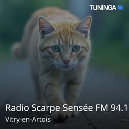 Radio Scarpe Sensée FM 94.1