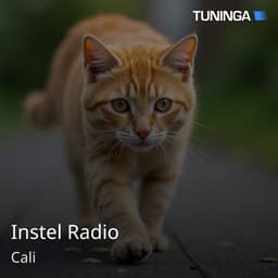 Instel Radio