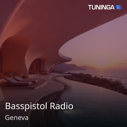 Basspistol Radio