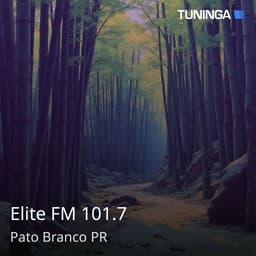 Elite FM 101.7