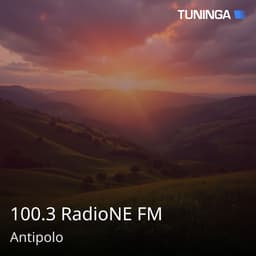 100.3 RadioNE FM