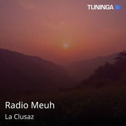 Radio Meuh
