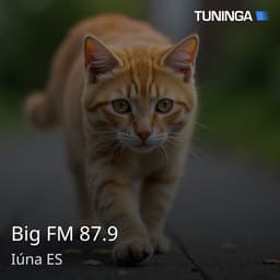 Big FM 87.9
