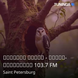 Детское Радио - Санкт-Петербург 103.7 FM