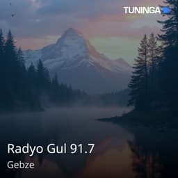 Radyo Gul 91.7