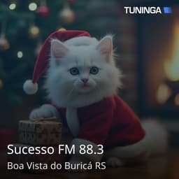 Sucesso FM 88.3