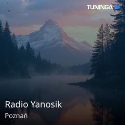Radio Yanosik