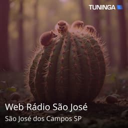 Web Rádio São José