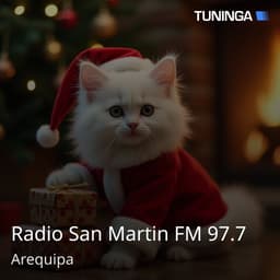 Radio San Martin FM 97.7