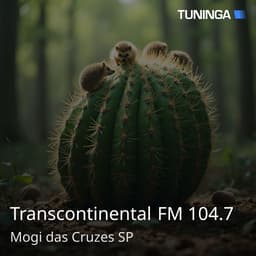 Transcontinental FM 104.7