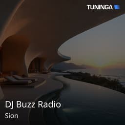 DJ Buzz Radio