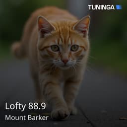 Lofty 88.9