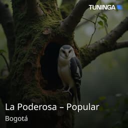 La Poderosa – Popular