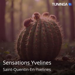Sensations Yvelines