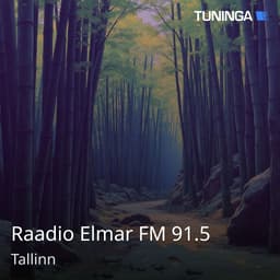 Raadio Elmar FM 91.5