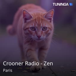 Crooner Radio - Zen