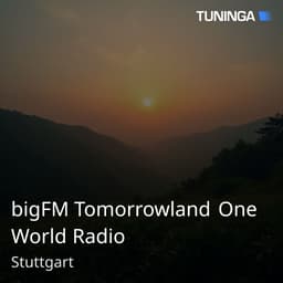 bigFM Tomorrowland One World Radio