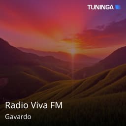 Radio Viva FM