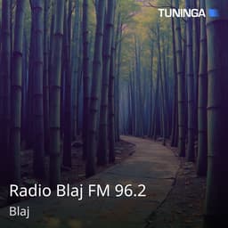Radio Blaj FM 96.2