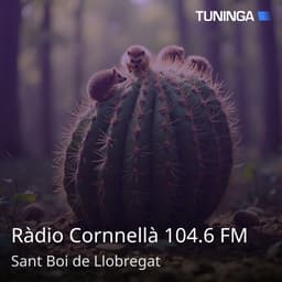 Ràdio Cornnellà 104.6 FM