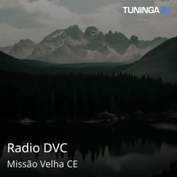 Radio DVC