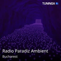 Radio Paradiz Ambient