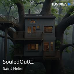 SouledOutCI